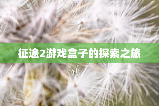 征途2游戏盒子的探索之旅图片