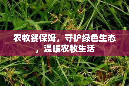 守护绿色生态图片