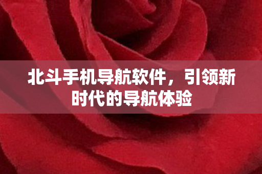 引领新时代的导航体验图片