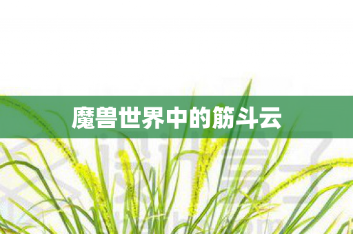魔兽世界中的筋斗云图片