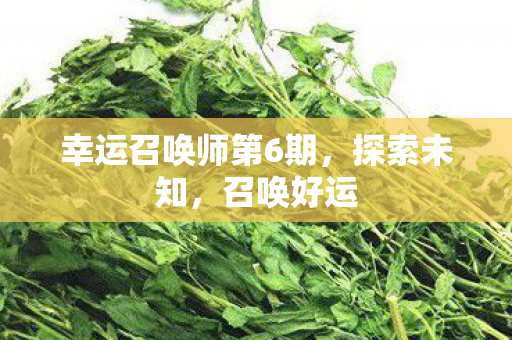 幸运召唤师第6期图片