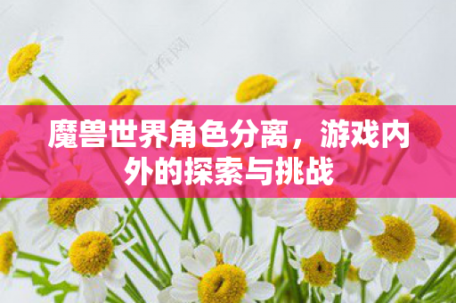 游戏内外的探索与挑战图片