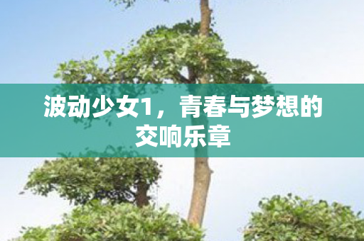 青春与梦想的交响乐章图片