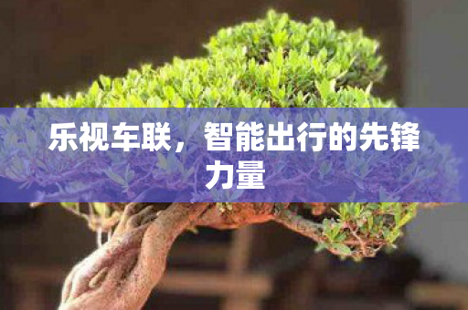 智能出行的先锋力量图片