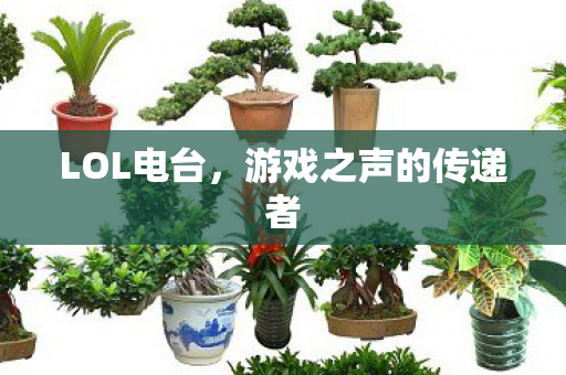 游戏之声的传递者图片