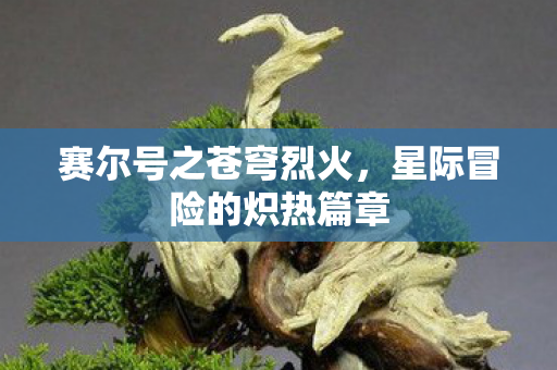 星际冒险的炽热篇章图片