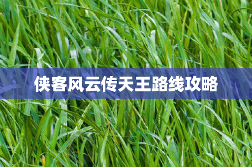 侠客风云传天王路线攻略图片