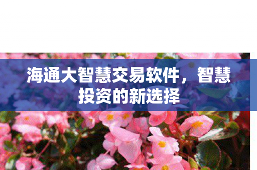 海通大智慧交易软件图片