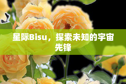 探索未知的宇宙先锋图片
