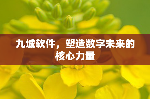 塑造数字未来的核心力量图片