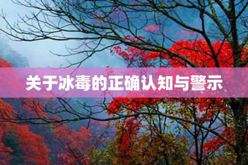 关于冰毒的正确认知与警示图片