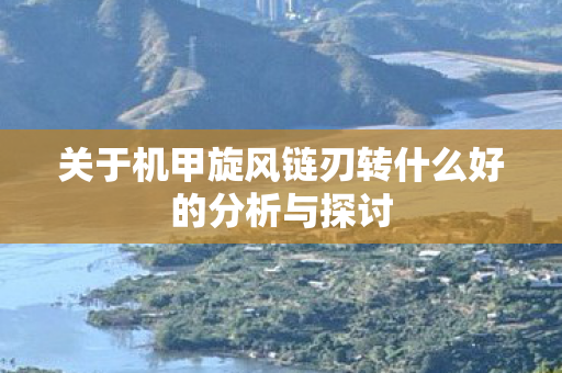 关于机甲旋风链刃转什么好的分析与探讨图片