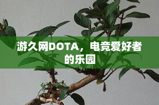 电竞爱好者的乐园图片