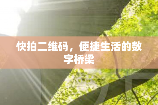 便捷生活的数字桥梁图片