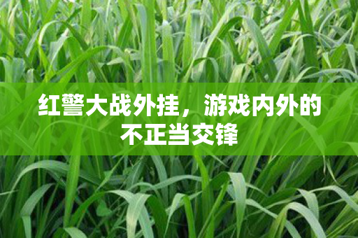 游戏内外的不正当交锋图片