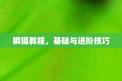 基础与进阶技巧图片