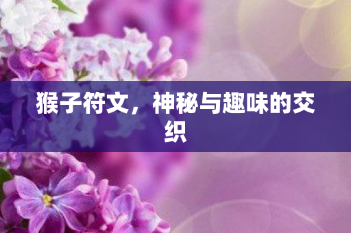 神秘与趣味的交织图片