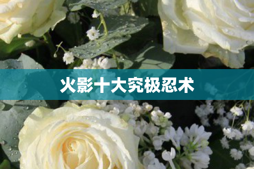 火影十大究极忍术图片