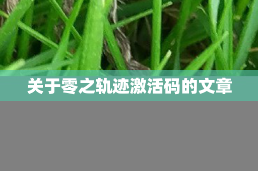 关于零之轨迹激活码的文章图片