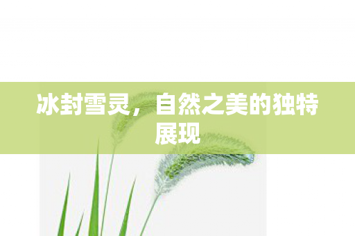 自然之美的独特展现图片