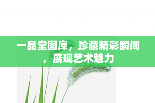 珍藏精彩瞬间图片