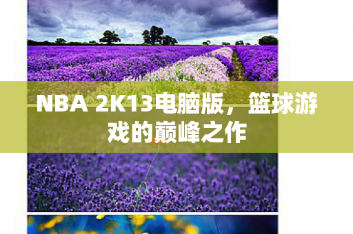 NBA 2K13电脑版图片