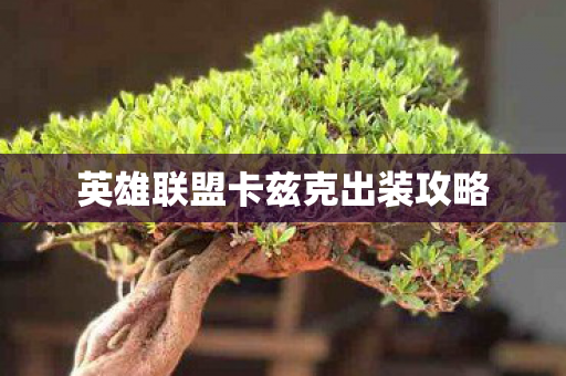 英雄联盟卡兹克出装攻略图片
