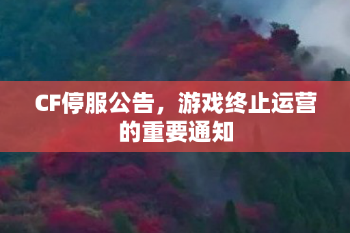 游戏终止运营的重要通知图片