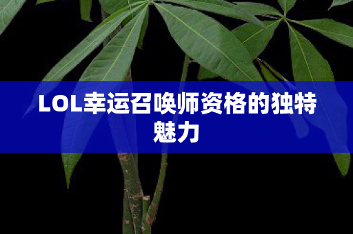 LOL幸运召唤师资格的独特魅力图片