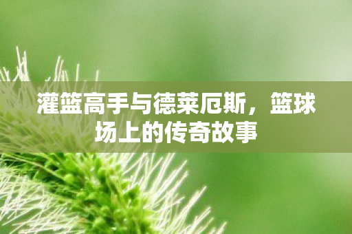 灌篮高手与德莱厄斯图片