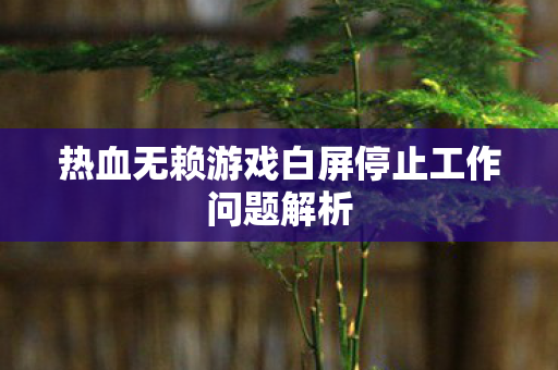 热血无赖游戏白屏停止工作问题解析图片