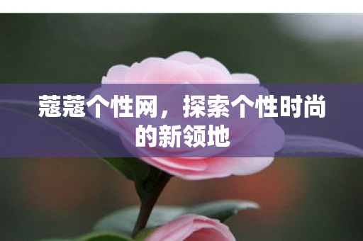 探索个性时尚的新领地图片