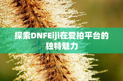 探索DNFEiji在爱拍平台的独特魅力图片