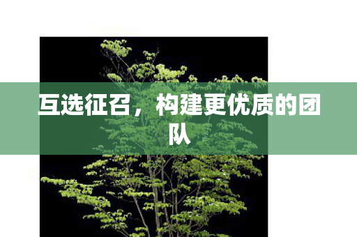 构建更优质的团队图片