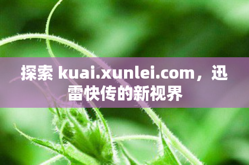 迅雷快传的新视界图片