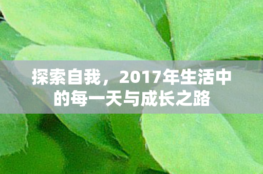 2017年生活中的每一天与成长之路图片