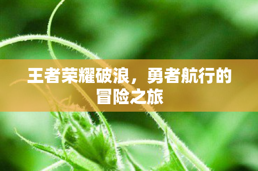 勇者航行的冒险之旅图片