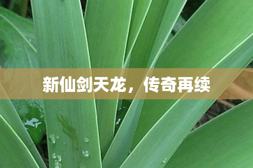 新仙剑天龙图片