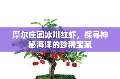 探寻神秘海洋的珍稀宝藏图片