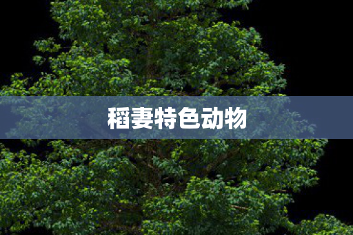 稻妻特色动物图片