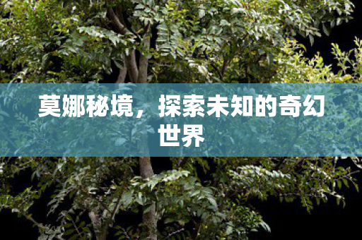 探索未知的奇幻世界图片