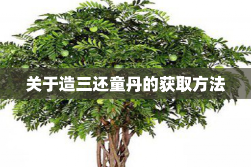 关于造三还童丹的获取方法图片