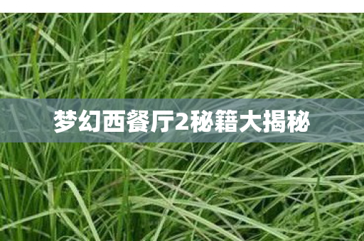 梦幻西餐厅2秘籍大揭秘图片