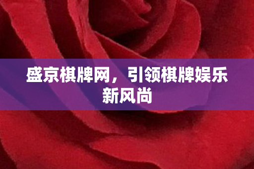 引领棋牌娱乐新风尚图片