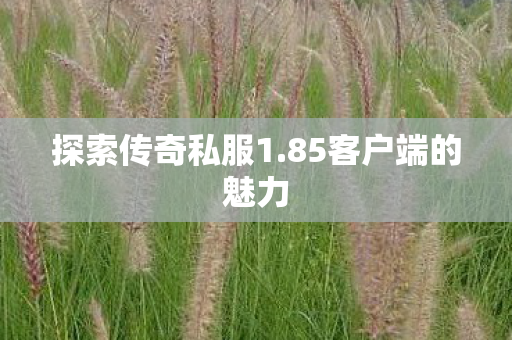 85客户端的魅力图片