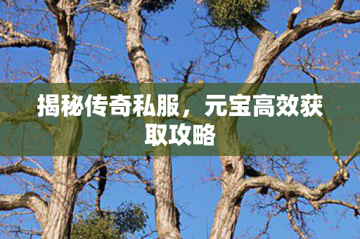元宝高效获取攻略图片