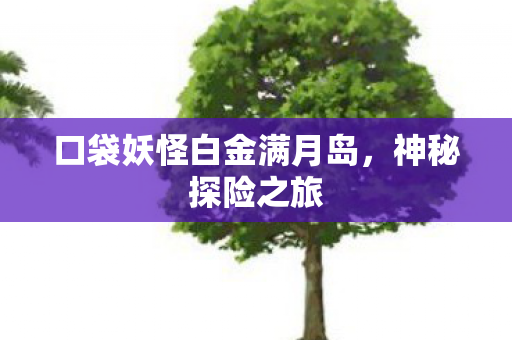 口袋妖怪白金满月岛图片
