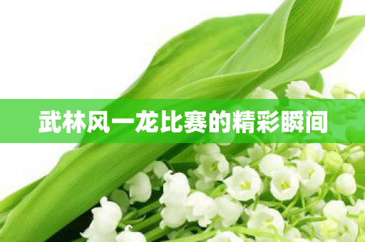 武林风一龙比赛的精彩瞬间图片