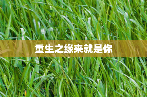 重生之缘来就是你图片