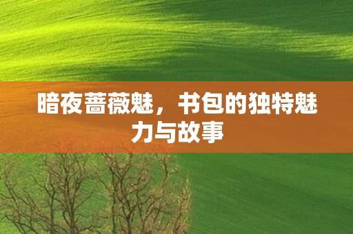 书包的独特魅力与故事图片
